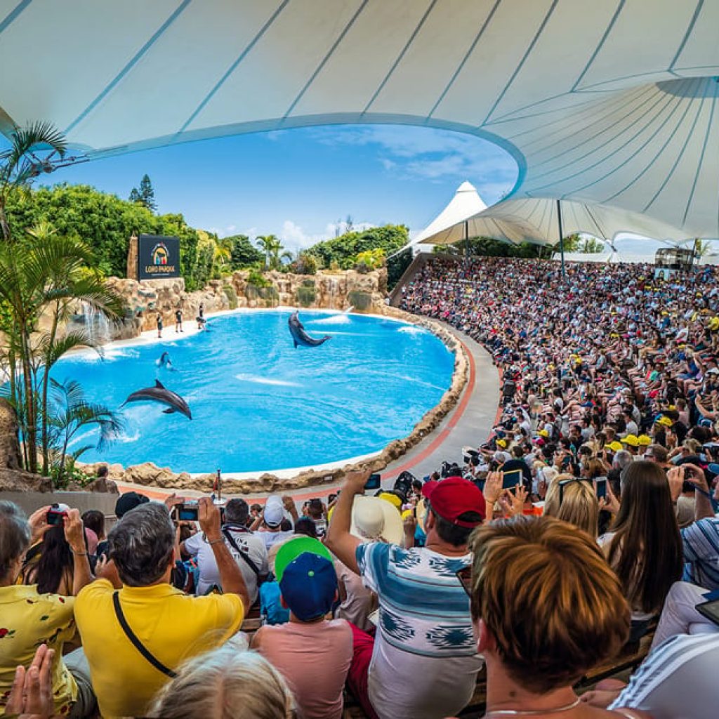 Zoologijos parkai ir gyvūnų ūkiai Tenerifėje